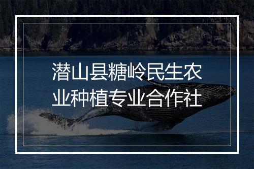 潜山县糖岭民生农业种植专业合作社