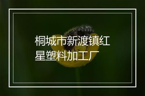 桐城市新渡镇红星塑料加工厂
