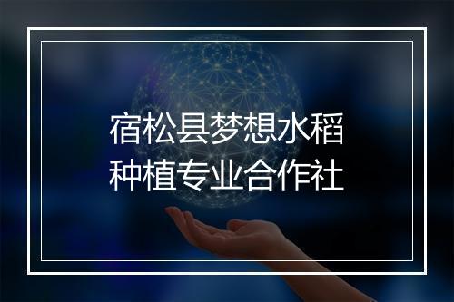 宿松县梦想水稻种植专业合作社
