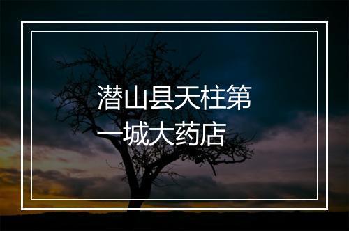潜山县天柱第一城大药店