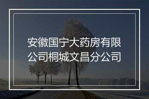 安徽国宁大药房有限公司桐城文昌分公司