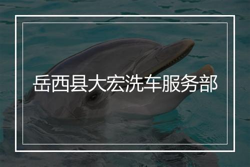 岳西县大宏洗车服务部
