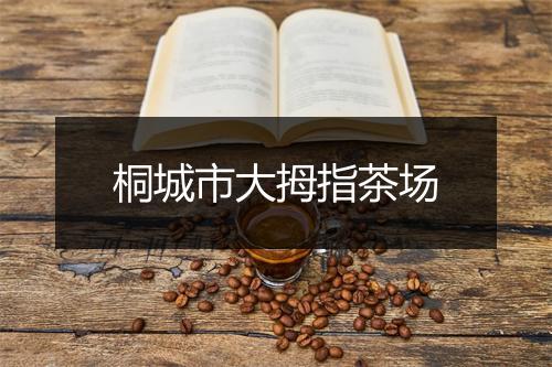 桐城市大拇指茶场