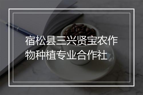 宿松县三兴贤宝农作物种植专业合作社