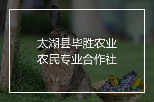 太湖县毕胜农业农民专业合作社