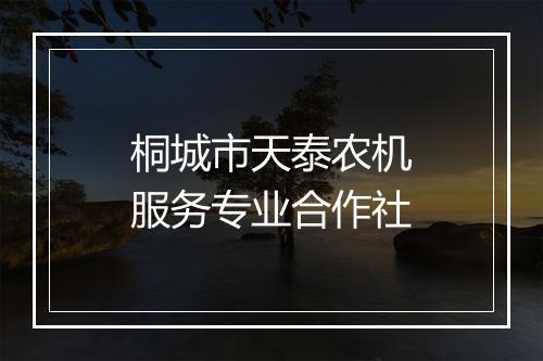 桐城市天泰农机服务专业合作社