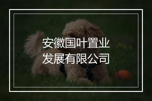 安徽国叶置业发展有限公司
