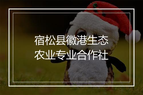 宿松县徽港生态农业专业合作社