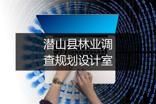 潜山县林业调查规划设计室