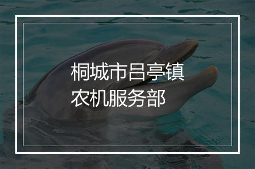 桐城市吕亭镇农机服务部