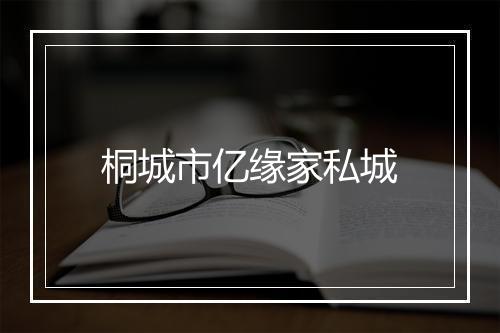 桐城市亿缘家私城