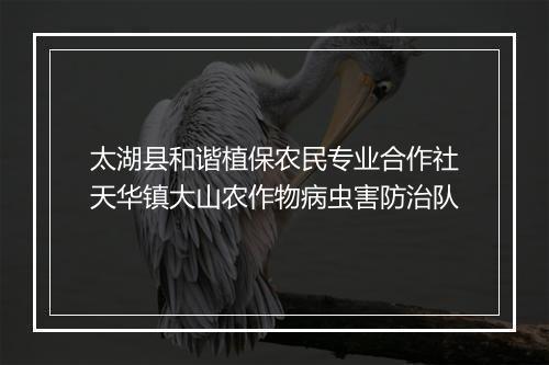 太湖县和谐植保农民专业合作社天华镇大山农作物病虫害防治队