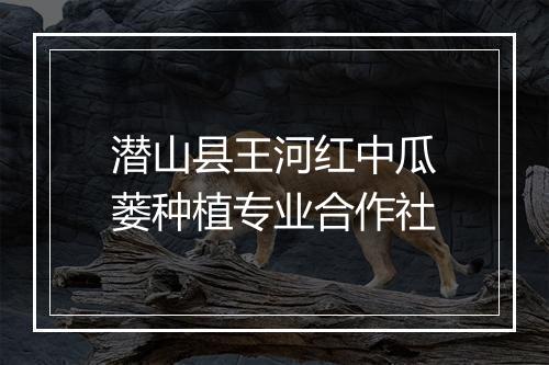 潜山县王河红中瓜蒌种植专业合作社