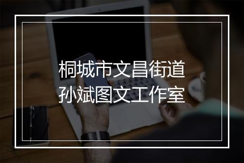 桐城市文昌街道孙斌图文工作室