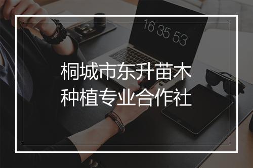 桐城市东升苗木种植专业合作社