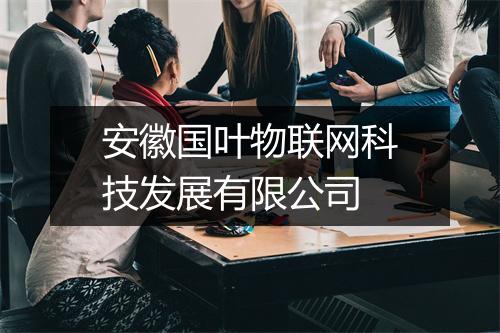 安徽国叶物联网科技发展有限公司
