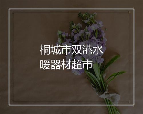 桐城市双港水暖器材超市