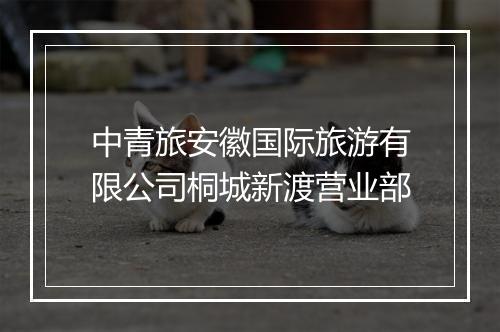 中青旅安徽国际旅游有限公司桐城新渡营业部