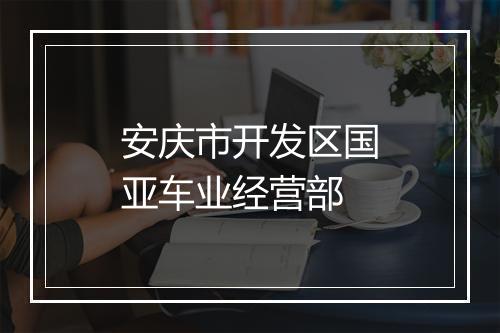 安庆市开发区国亚车业经营部