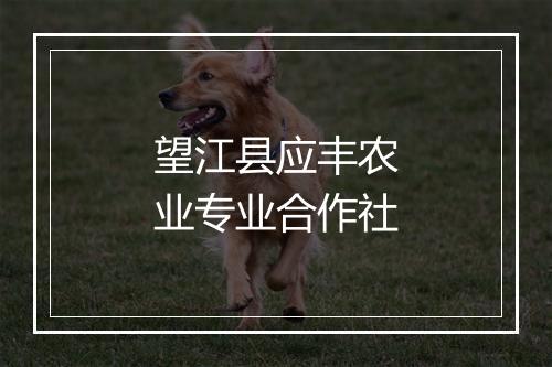 望江县应丰农业专业合作社