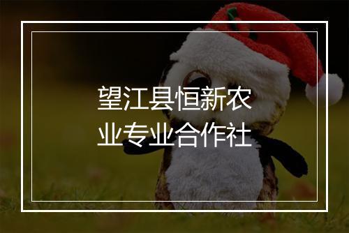 望江县恒新农业专业合作社