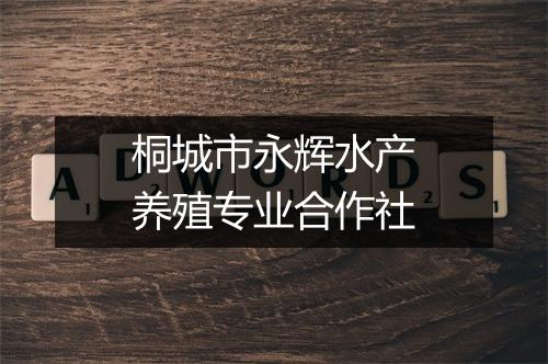 桐城市永辉水产养殖专业合作社