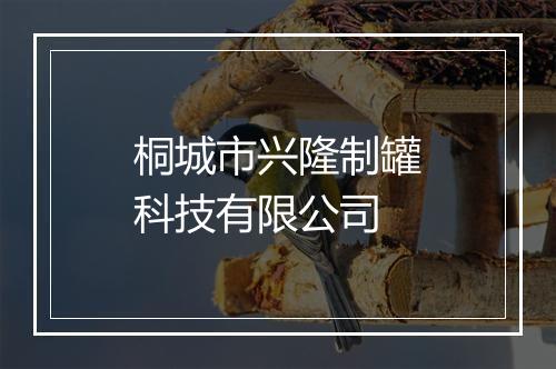 桐城市兴隆制罐科技有限公司