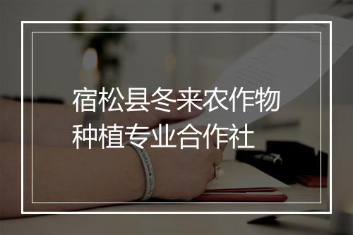 宿松县冬来农作物种植专业合作社
