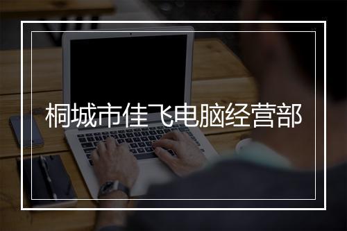桐城市佳飞电脑经营部