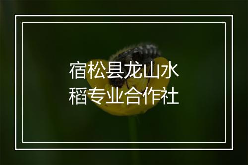 宿松县龙山水稻专业合作社