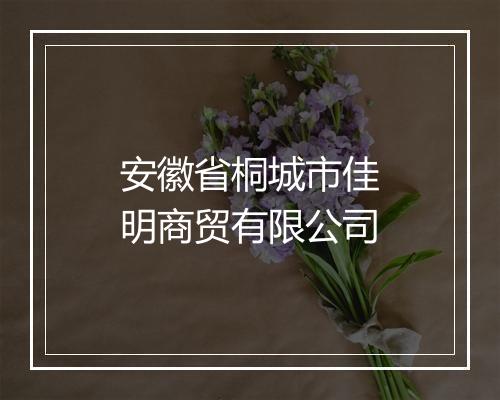 安徽省桐城市佳明商贸有限公司