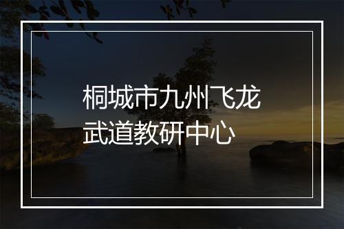 桐城市九州飞龙武道教研中心