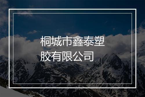 桐城市鑫泰塑胶有限公司