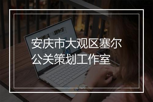 安庆市大观区塞尔公关策划工作室