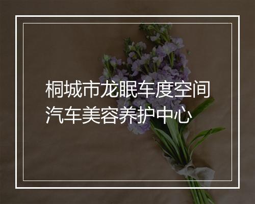 桐城市龙眠车度空间汽车美容养护中心