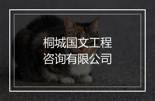 桐城国文工程咨询有限公司