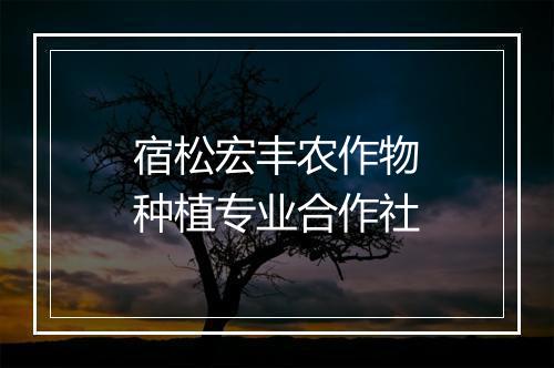 宿松宏丰农作物种植专业合作社