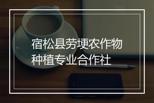 宿松县劳埂农作物种植专业合作社