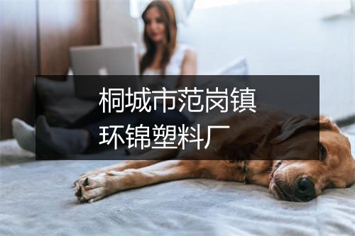 桐城市范岗镇环锦塑料厂