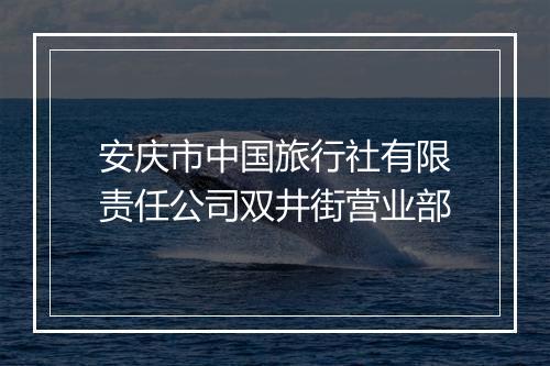 安庆市中国旅行社有限责任公司双井街营业部