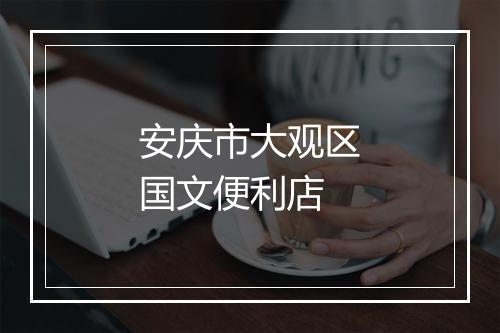 安庆市大观区国文便利店