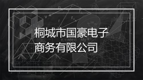 桐城市国豪电子商务有限公司