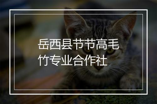 岳西县节节高毛竹专业合作社
