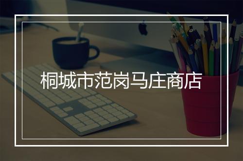 桐城市范岗马庄商店