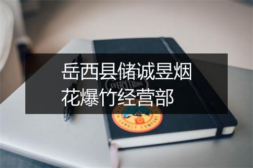 岳西县储诚昱烟花爆竹经营部