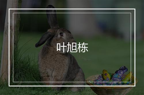 叶旭栋