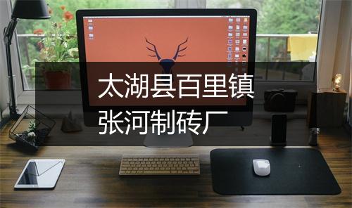 太湖县百里镇张河制砖厂