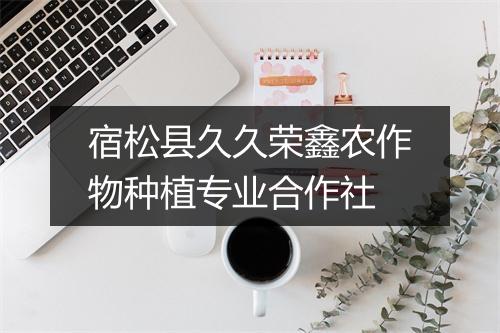 宿松县久久荣鑫农作物种植专业合作社