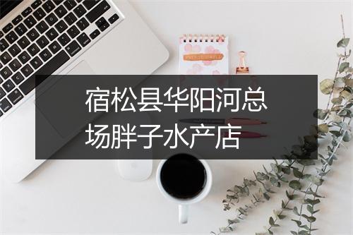 宿松县华阳河总场胖子水产店