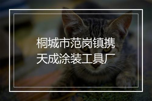 桐城市范岗镇携天成涂装工具厂